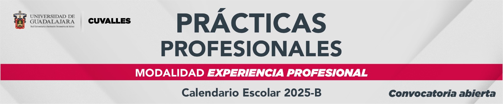 Prácticas Profesionales, modalidad experiencia profesional