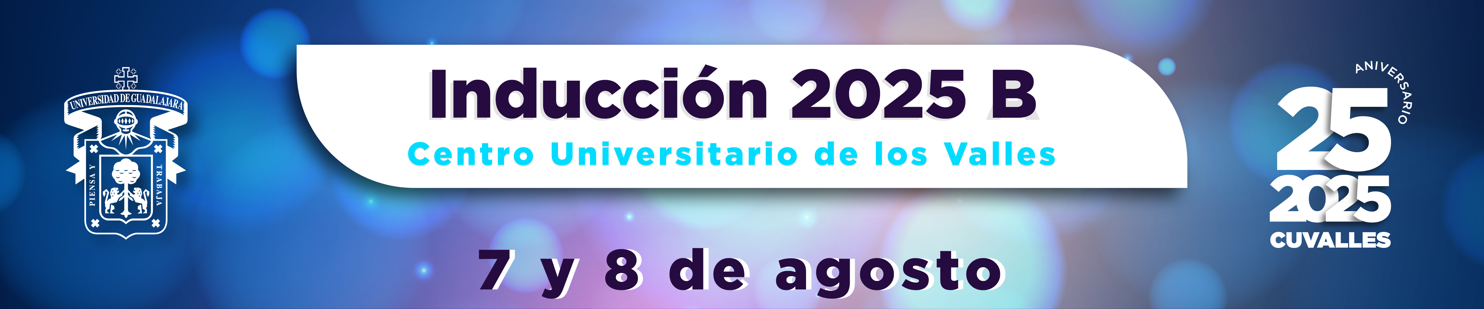 Curso de inducción 2025 B 